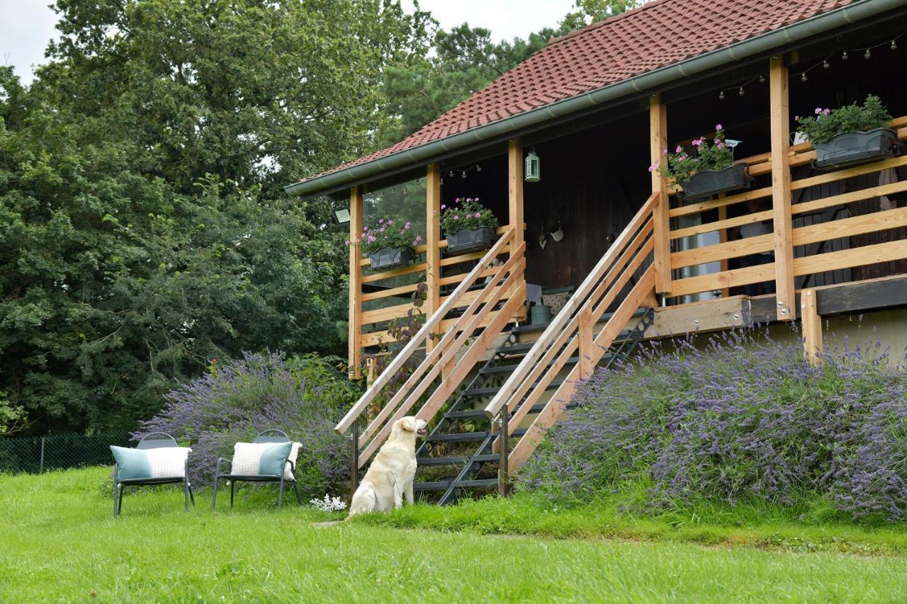 Le Chalet D'Eliot Chevigny  Екстериор снимка